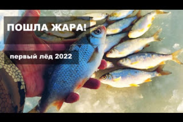 Kraken 20at