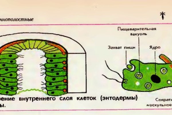 Кракен сайт регистрация