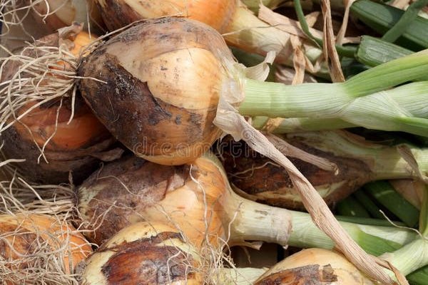 Onion сайт кракен