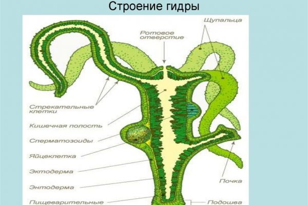 Кракен не работает сегодня